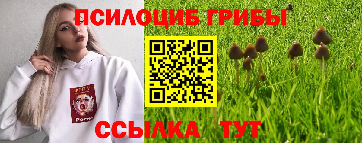 Псилоцибиновые грибы Cubensis  Вход с VPN  Кызыл 